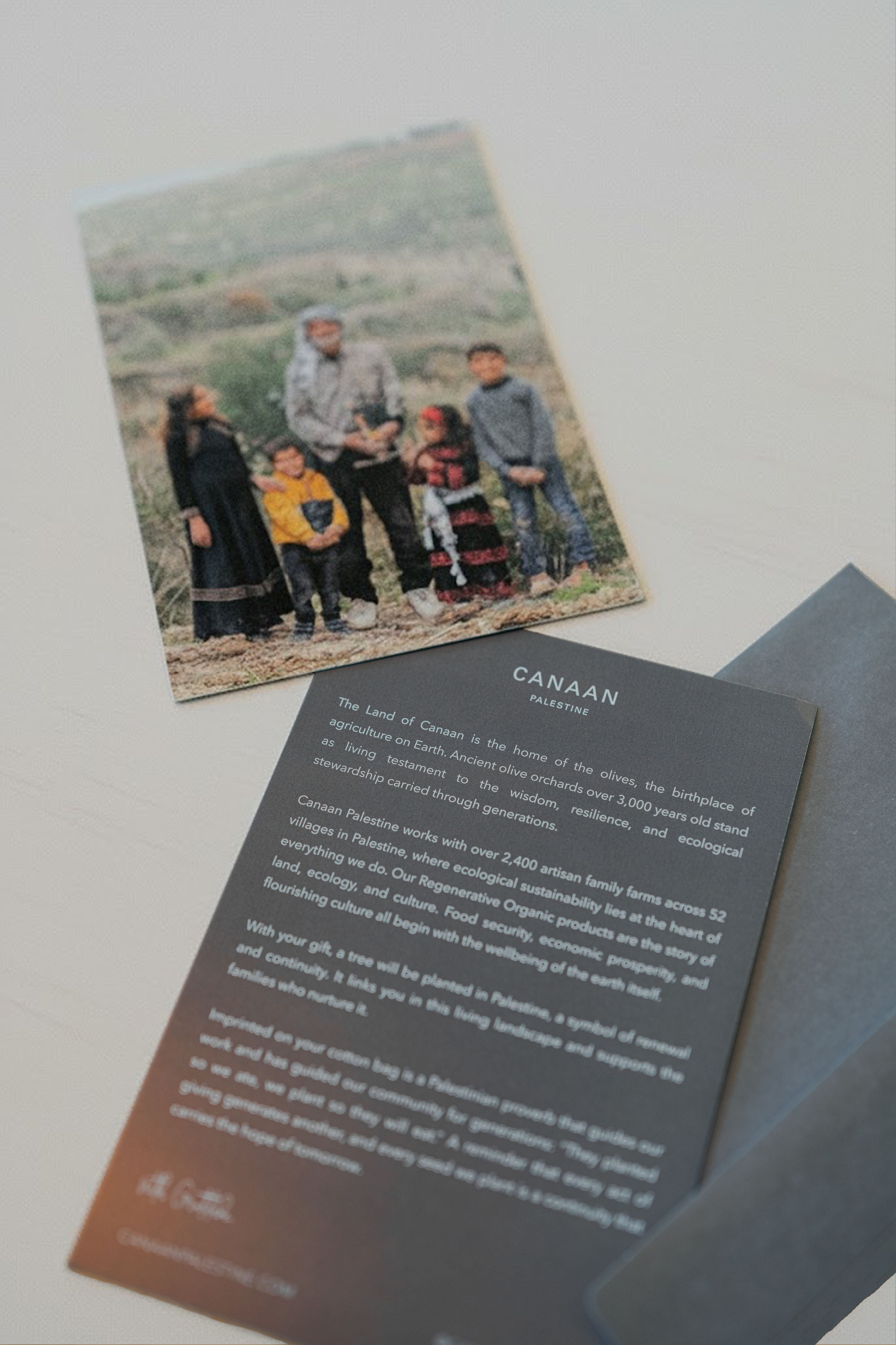 The Dipping Experience Gift Set