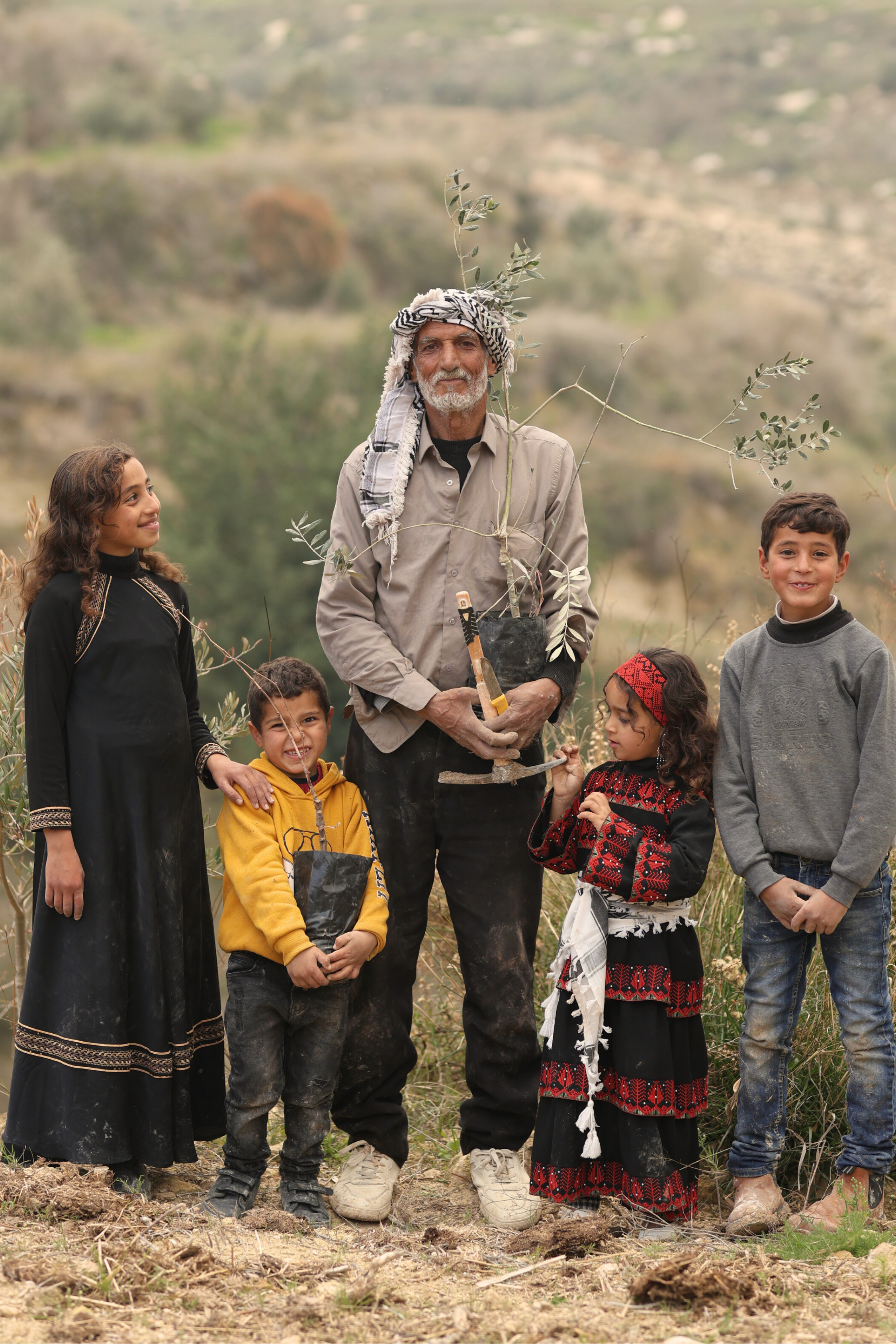 Plant a tree in Palestine