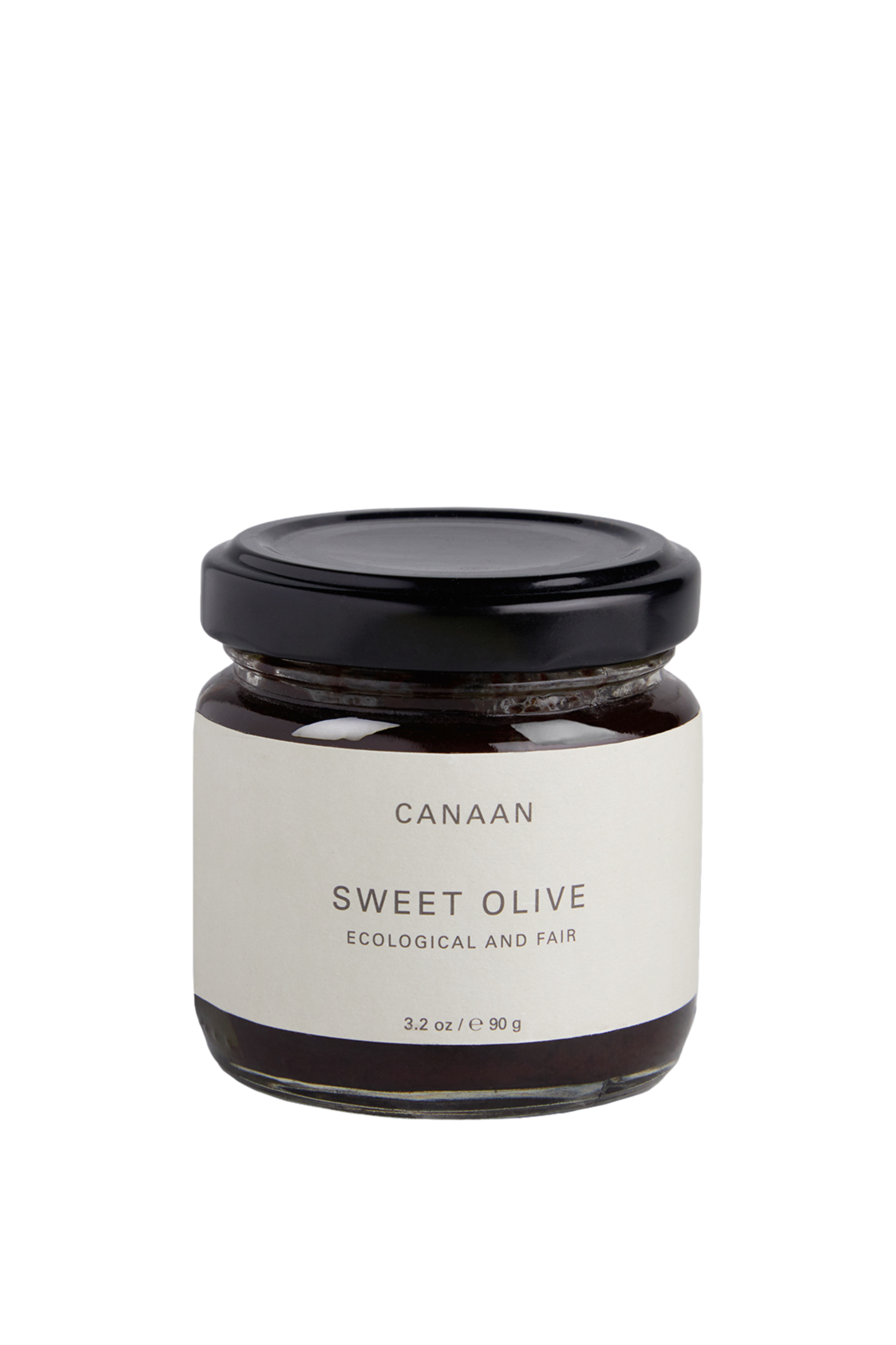 Sweet Olive | Rich Flavors of Palestine