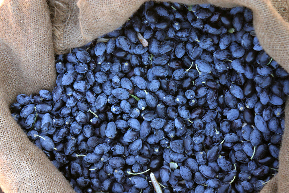 Sweet Olive Black Olive Tapenade Canaan Palestine