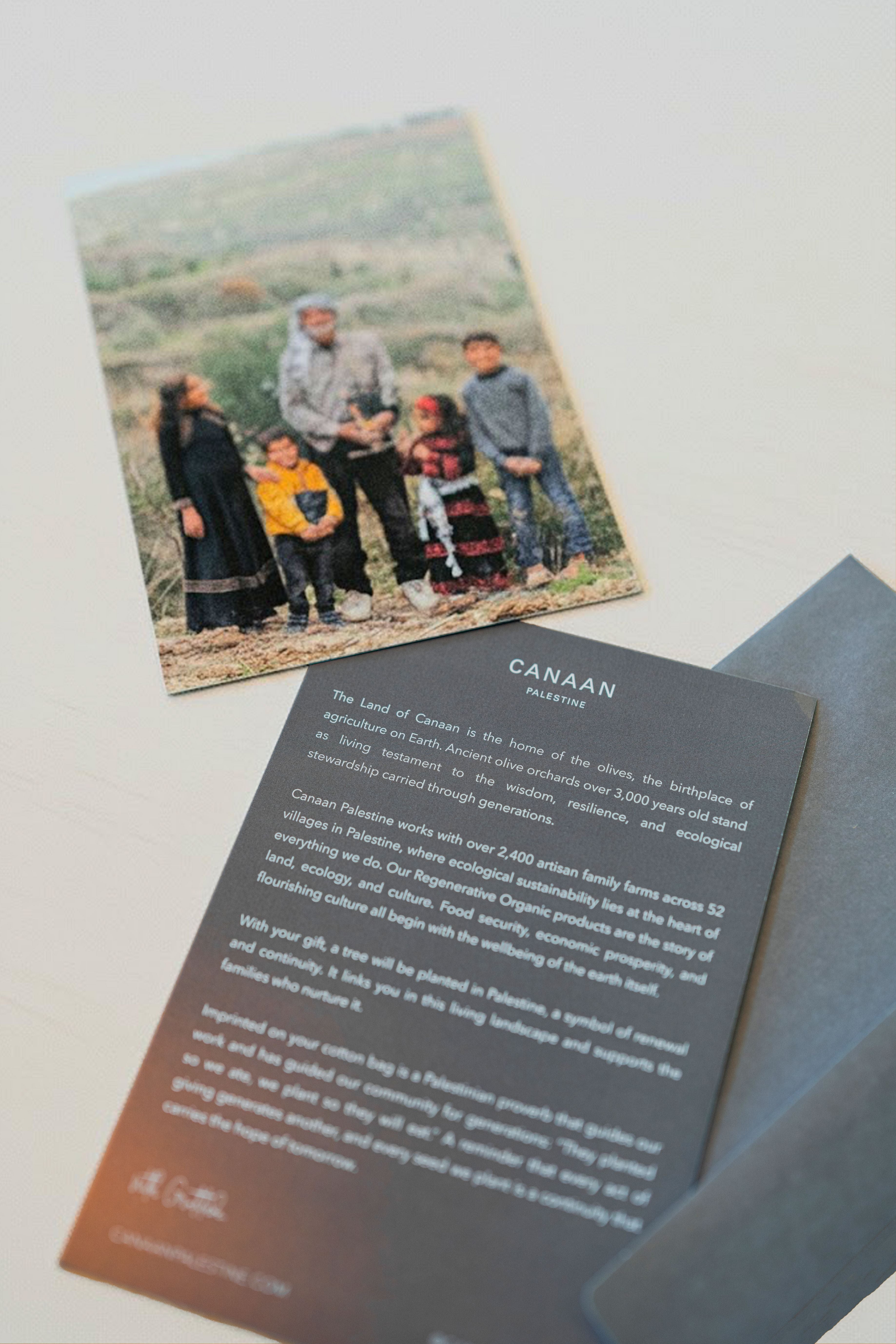 The Signature Olive Oils Gift Set